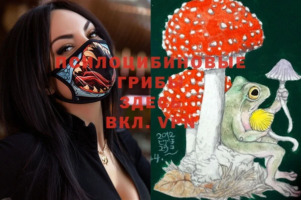 apvp Белоозёрский