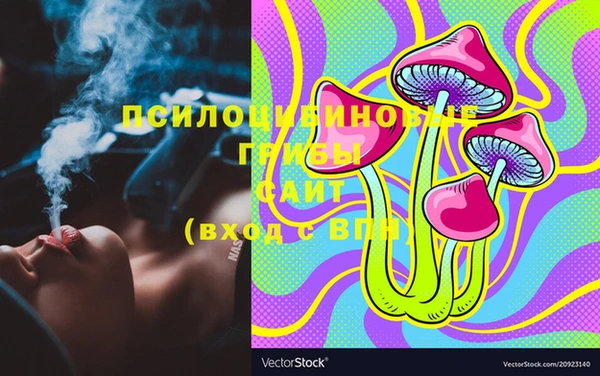 амф Белокуриха