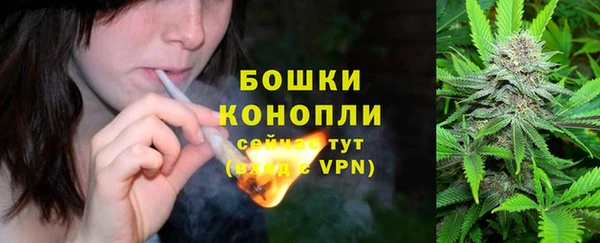 амф Белокуриха