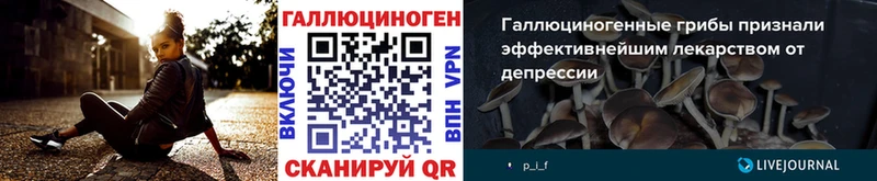 Псилоцибиновые грибы прущие грибы  даркнет сайт  Великий Устюг 